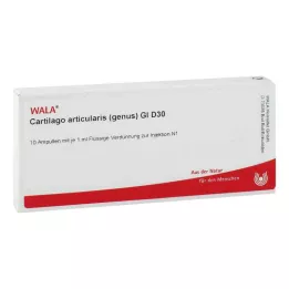 CARTILAGO articularis genus GL D 30 ampoules, 10X1 ml