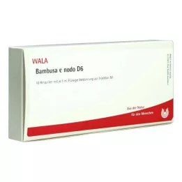 BAMBUSA E NODO D 6 Ampoules, 10X1 ml