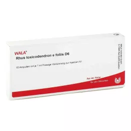 RHUS TOXICODENDRON E foliis D 6 Ampoules, 10X1 ml