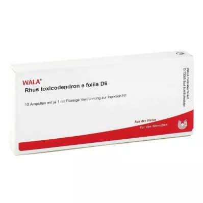 RHUS TOXICODENDRON E foliis D 6 Ampoules, 10X1 ml