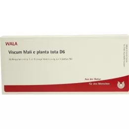 VISCUM MALI e planta tota D 6 Ampoules, 10X1 ml