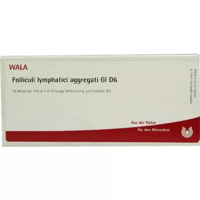 FOLLICULI LYMPHATICI aggregati GL D 6 ampoules, 10X1 ml FOLLICULI LYMPHATICI aggregati GL D 6 ampoules, 10X1 ml