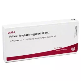 FOLLICULI LYMPHATICI aggregati GL D 12 ampoules, 10X1 ml