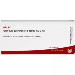 GLANDULA SUPRARENALES dextra GL D 12 ampoules, 10X1 ml