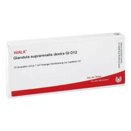 GLANDULA SUPRARENALES dextra GL D 12 ampoules, 10X1 ml