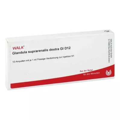 GLANDULA SUPRARENALES dextra GL D 12 ampoules, 10X1 ml