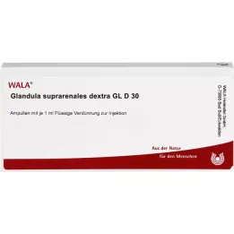 GLANDULA SUPRARENALES dextra GL D 30 ampoules, 10X1 ml