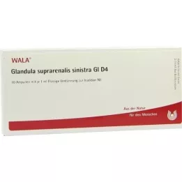 GLANDULA SUPRARENALIS sinistra GL D 4 ampoules, 10X1 ml