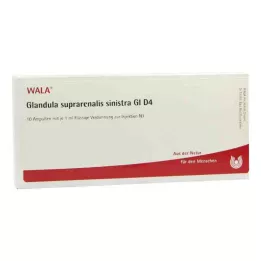 GLANDULA SUPRARENALIS sinistra GL D 4 ampoules, 10X1 ml
