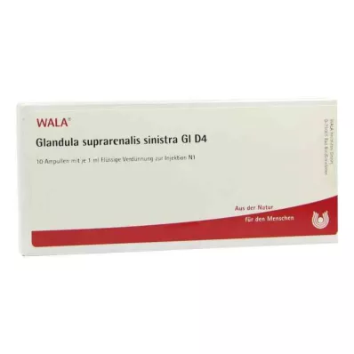 GLANDULA SUPRARENALIS sinistra GL D 4 ampoules, 10X1 ml GLANDULA SUPRARENALIS sinistra GL D 4 ampoules, 10X1 ml