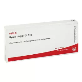GYRUS cinguli GL D 12 ampoules, 10X1 ml