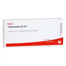 HIPPOCAMPUS GL D 6 Ampoules, 10X1 ml