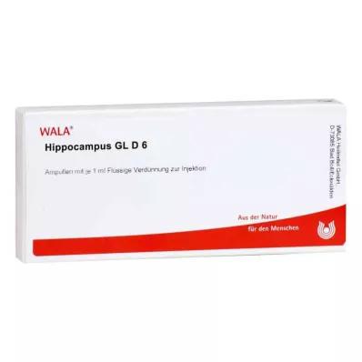 HIPPOCAMPUS GL D 6 Ampoules, 10X1 ml