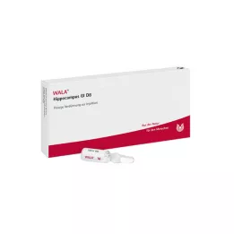 HIPPOCAMPUS GL D 8 Ampoules, 10X1 ml