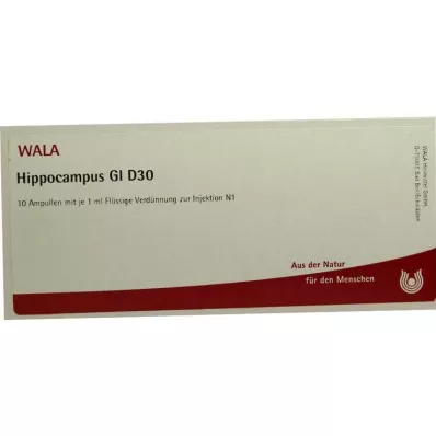 HIPPOCAMPUS GL D 30 Ampoules, 10X1 ml