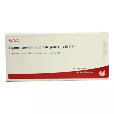 LIGAMENTUM LONGITUDINALE posterius GL D 30 Amp., 10X1 ml