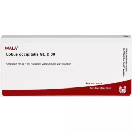 LOBUS occipitalis GL D 30 ampoules, 10X1 ml