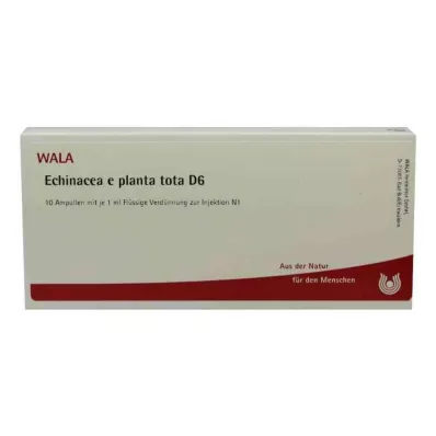 ECHINACEA E planta tota D 6 Ampoules, 10X1 ml ECHINACEA E planta tota D 6 Ampoules, 10X1 ml