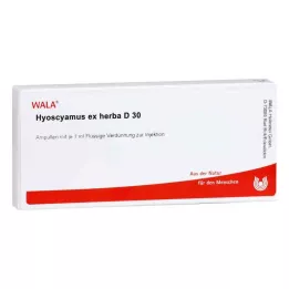 HYOSCYAMUS EX Herba D 30 Ampoules, 10X1 ml
