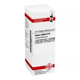 HEPAR SULFURIS D 6 Dilution, 20 ml