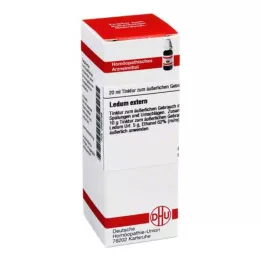 LEDUM EXTERN Tincture, 20 ml