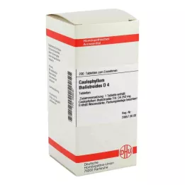 CAULOPHYLLUM THALICTROIDES D 4 tablets, 200 pc