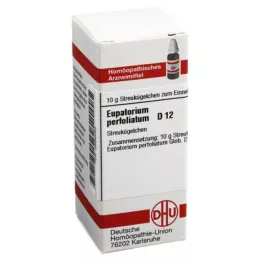 EUPATORIUM PERFOLIATUM D 12 globules, 10 g