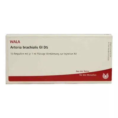 ARTERIA BRACHIALIS GL D 5 ampoules, 10X1 ml