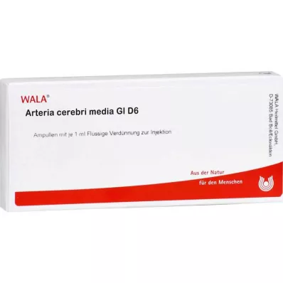 ARTERIA CEREBRI media GL D 6 ampoules, 10X1 ml