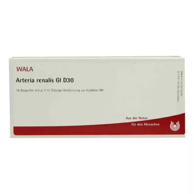 ARTERIA RENALIS GL D 30 Ampoules, 10X1 ml ARTERIA RENALIS GL D 30 Ampoules, 10X1 ml