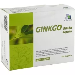 GINKGO 100 mg capsules+B1+C+E, 192 pcs