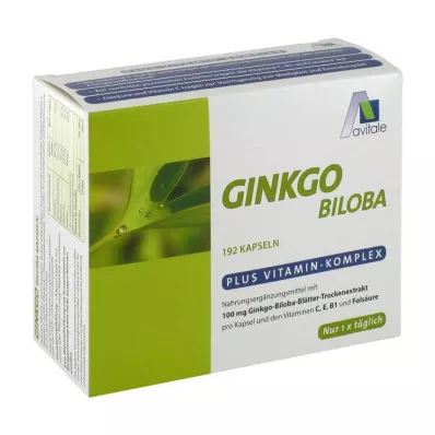 GINKGO 100 mg capsules+B1+C+E, 192 pcs GINKGO 100 mg capsules+B1+C+E, 192 pcs
