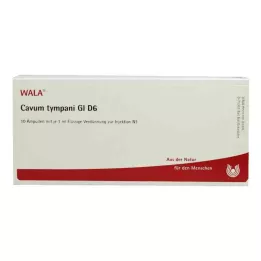 CAVUM tympani GL D 6 ampoules, 10X1 ml