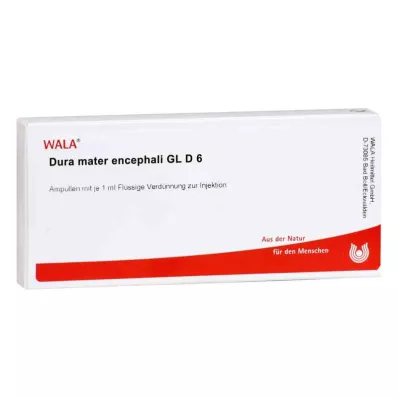 DURA MATER encephali GL D 6 ampoules, 10X1 ml