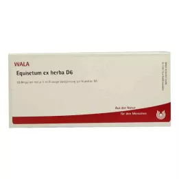EQUISETUM EX Herba D 6 Ampoules, 10X1 ml