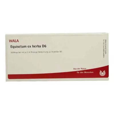 EQUISETUM EX Herba D 6 Ampoules, 10X1 ml EQUISETUM EX Herba D 6 Ampoules, 10X1 ml