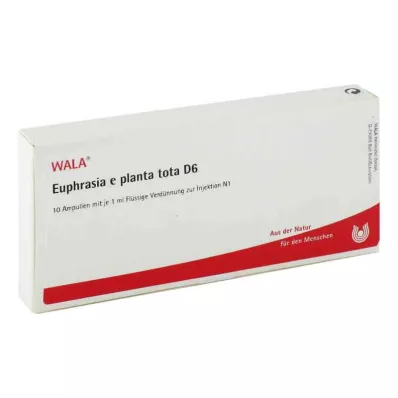 EUPHRASIA E planta tota D 6 Ampoules, 10X1 ml EUPHRASIA E planta tota D 6 Ampoules, 10X1 ml