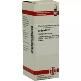 LEDUM D 12 Dilution, 20 ml