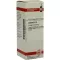 LEDUM D 12 Dilution, 20 ml