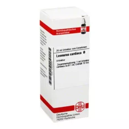 LEONURUS CARDIACA mother tincture, 20 ml