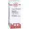 MAGNESIUM CARBONICUM D 6 Dilution, 50 ml