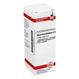RHUS TOXICODENDRON C 30 dilution, 20 ml