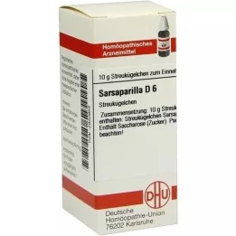 SARSAPARILLA D 6 globules, 10 g