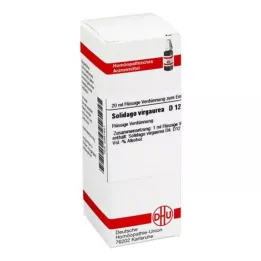 SOLIDAGO VIRGAUREA D 12 Dilution, 20 ml