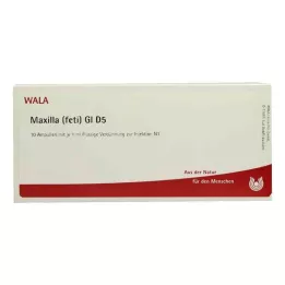 MAXILLA feti GL D 5 ampoules, 10X1 ml