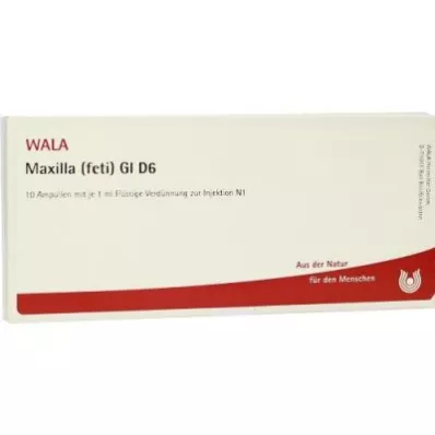 MAXILLA feti GL D 6 ampoules, 10X1 ml MAXILLA feti GL D 6 ampoules, 10X1 ml