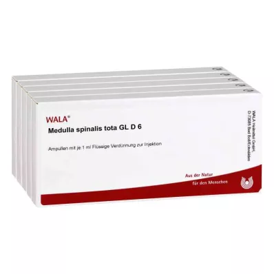 MEDULLA SPINALIS tota GL D 6 Ampoules, 50X1 ml MEDULLA SPINALIS tota GL D 6 Ampoules, 50X1 ml