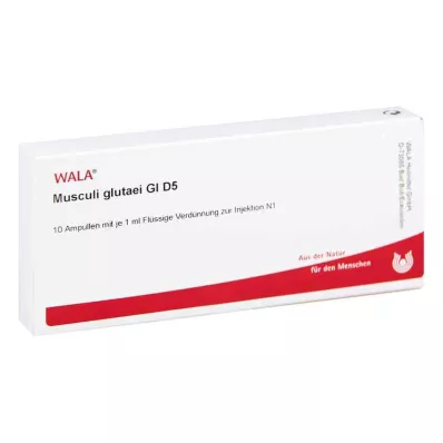 MUSCULI GLUTAEI GL D 5 ampoules, 10X1 ml
