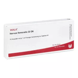 NERVUS FEMORALIS GL D 6 Ampoules, 10X1 ml