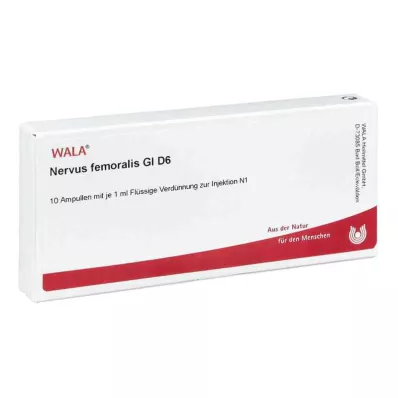 NERVUS FEMORALIS GL D 6 Ampoules, 10X1 ml NERVUS FEMORALIS GL D 6 Ampoules, 10X1 ml